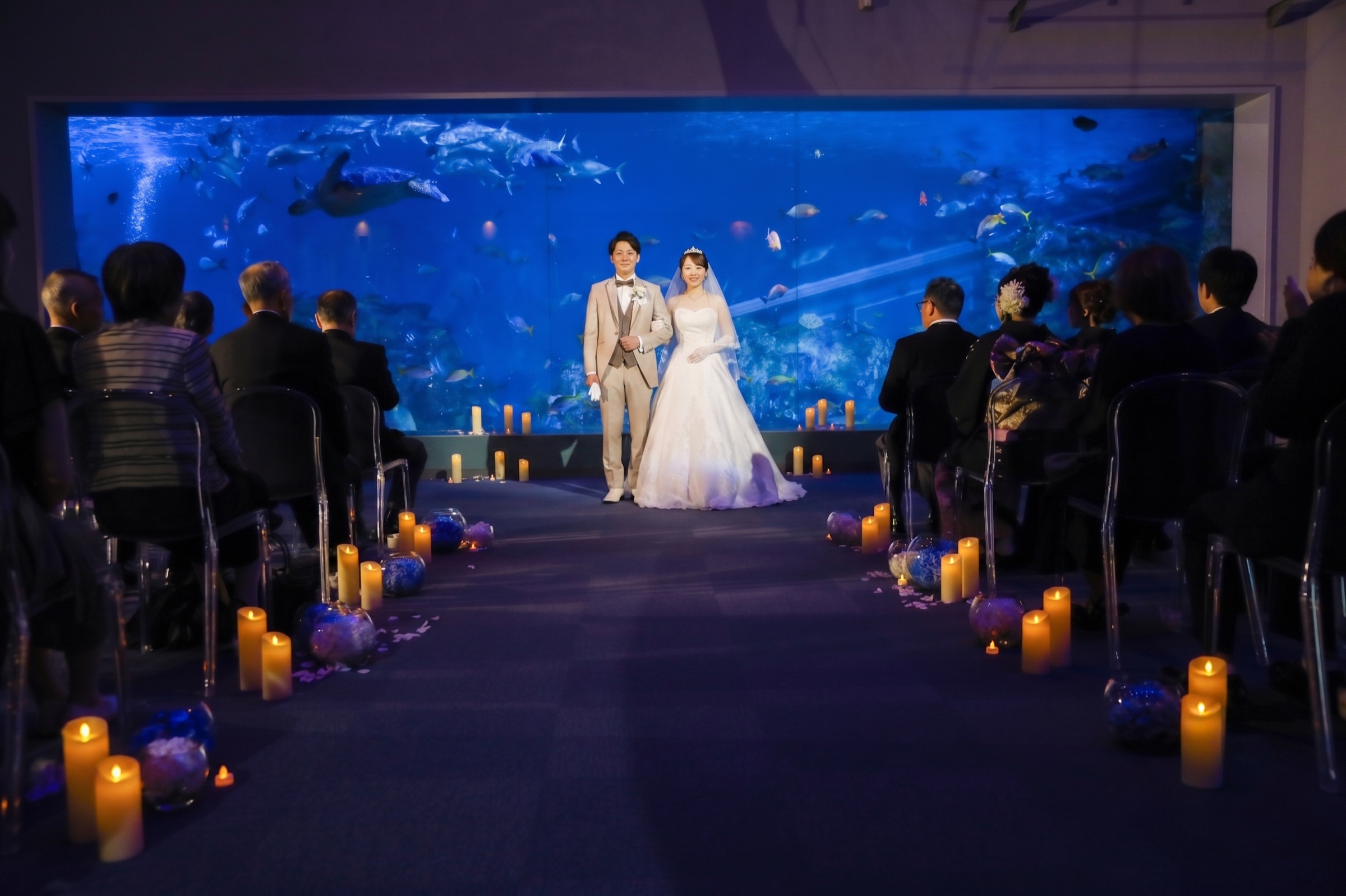 【aqua plan】鳥羽水族館で叶う結婚式